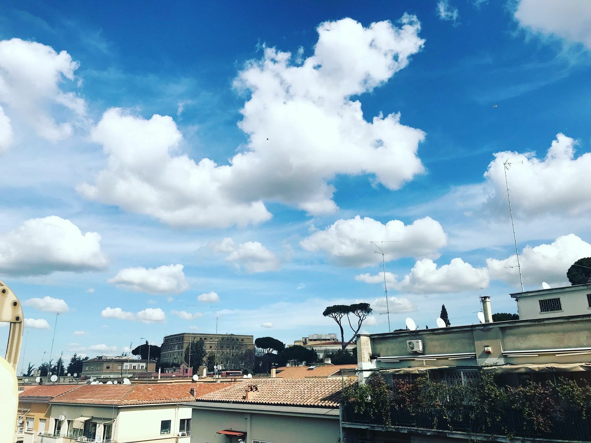 Charming Vatican Roma Exterior foto